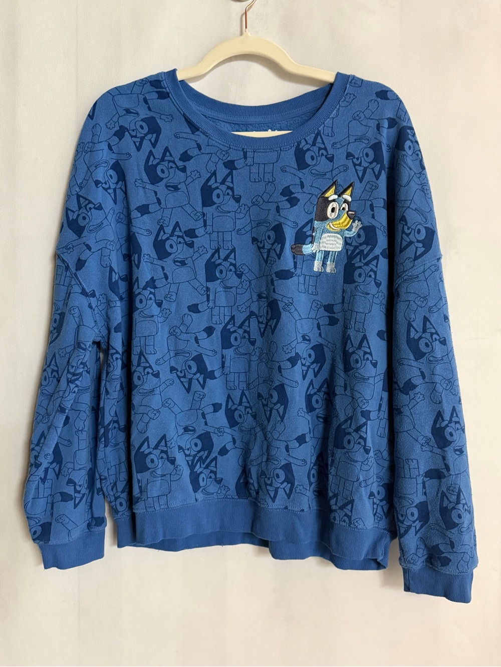 Bluey Disney Blue All Over Print Embroidered Sweatshirt XL
